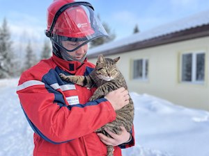 «Россети Северо-Запад» электрифицировали новые дома для переселенцев из ветхого и аварийного жилья