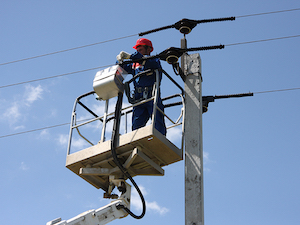 «Россети Волга» установят на ЛЭП более 5,5 тысяч птицезащитных устройств в 2024 году