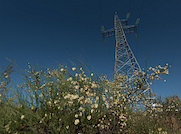 Расходы «Россети Юг» на экологическую программу в 2023 году выросли на 12%