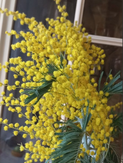 Дорогие россиянки, поздравляем с 8 Марта!