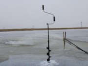 Разрез «Кирбинский» насытил кислородом воду в озере «Заливное» в Хакасии