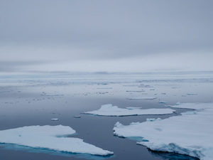 «Росатом» выступит соорганизатором международного форума «Арктика – территория диалога»