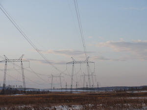 МЭС Урала расчистят 667 га трасс ЛЭП в Челябинской, Курганской и Тюменской областях