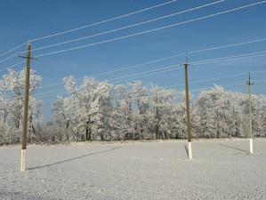 «Россети Кубань» отремонтируют 250 км ЛЭП в северных районах Краснодарского края