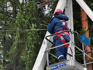 «Россети Ленэнерго» в ходе рейда демонтировали на опорах ЛЭП 3,5 км незаконных подвесов линий связи