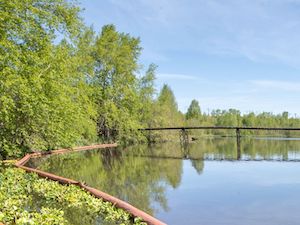 При поддержке ЕВРАЗа проводится биореабилитация водоемов в Нижнем Тагиле