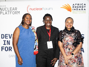 В университетах-партнерах Росатома получают ядерное образование более 2400 студентов из 65 стран