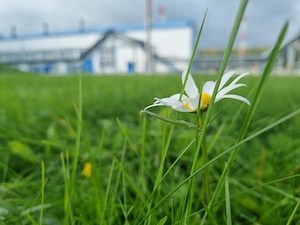 «Транснефть – Балтика» построила новую станцию биологической очистки вод на ЛПДС «Невская»