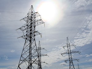 «Россети Волга» планируют расчистить более 600 га трасс ЛЭП в Мордовии