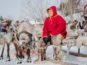 На Ямале отметили День оленевода