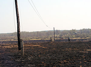 «Псковэнерго» готовит энергообъекты к пожароопасному сезону