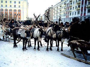 Воркута станет энергоэффективной