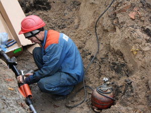 Свет для Свободного