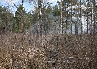 Пожароопасная обстановка вблизи объектов «Псковэнерго» находится на особом контроле МЧС