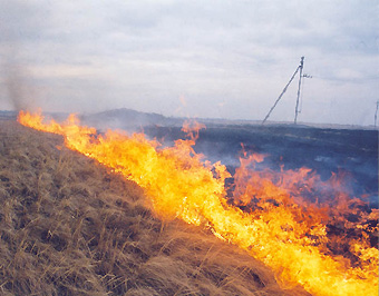 «Вологдаэнерго» начал подготовку к пожароопасному сезону