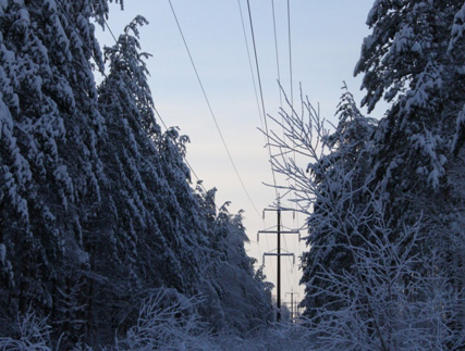 «Нижновэнерго» в три раза увеличит расчистку просек