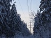 «Нижновэнерго» в три раза увеличит расчистку просек
