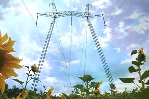 ФСК ЕЭС выполнит техприсоединение круглогодичных агрокомплексов более чем на 200 МВт