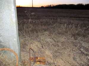В Новосокольническом районе Псковской области обнаружены боевые снаряды вблизи ЛЭП