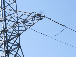 Федеральная сетевая компания готовит ЛЭП к прилету дальневосточных аистов