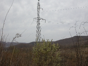 В Приморье с начала года зарегистрировано 72 лесных пожара на площади более 2200 гектаров