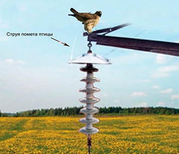 120 колпаков от птичьего помета установили энергетики Кабардино-Балкарии