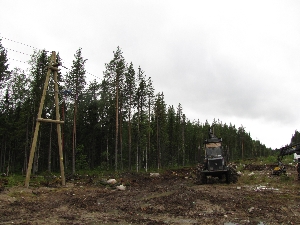 «Прионежская сетевая компания» отремонтирует три ЛЭП на границе с Финляндией