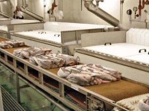 Колэнерго обеспечит 2 МВт мощности новому рыбоперерабатывающему предприятию