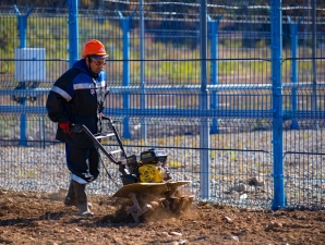 В Амурской области введен режим ЧС из-за природных пожаров