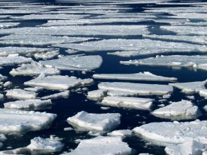 Уровень воды в реке Обь в границах Нижневартовска составит 870 - 950 см