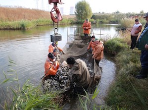Забор воды из реки Дон на нужды Нововоронежской АЭС снизился в 10 раз