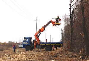 «Саратовские сети» расчистят более 1000 га трасс ЛЭП