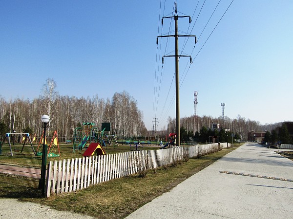 Специалисты «РЭС» зафиксировали в Новосибирской области 1700 нарушений в охранных зонах ЛЭП