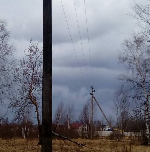 «Россети Центр и Приволжье» восстановили электроснабжение в СНТ «Дружба», нарушенное упавшим деревом
