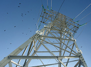 «Липецкэнерго» обновляет двухцепную ЛЭП 110 кВ «Ситовка — Доброе»