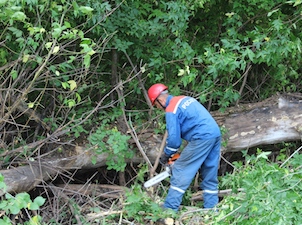 В 2021 году «Мордовэнерго» расчистит 747 га трасс ЛЭП