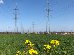 «Кубаньэнерго» выдало 2 МВт мощности объектам АПК на юго-западе Краснодарского края