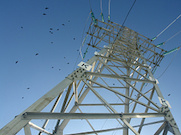 «Липецкэнерго» заменило дефектные изоляторы на ЛЭП 110 кВ «Заход»