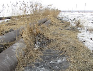 «ТГК-11» выплатила 6,9 млн рублей за ущерб окружающей среде