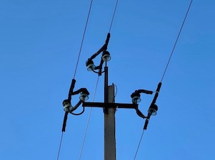 «Самарские РС» в 2022 году установят 1500 птицезащитных устройств