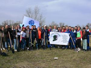 «Самарские распределительные сети» высадили «Сад памяти» из сирени