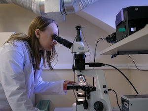 Ученые ТПУ предложили технологию получения сверхпрочного нанокомпозита для гибкой электроники