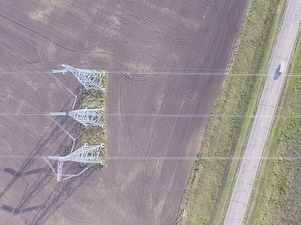 Чистая прибыль «ФСК ЕЭС» по РСБУ за 2021 год снизилась на 29%