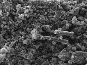 Ученые ФИЦ «Институт катализа СО РАН» создали катализаторы на основе озерного ила для получения бионефти