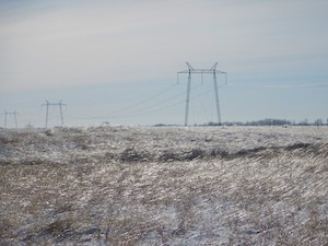МЭС Сибири установят почти 2 тысячи птицезащитных устройств на магистральных ЛЭП в Кузбассе