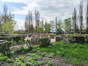 Набережная пруда-охладителя Нововоронежской АЭС станет благоустроенным общественным пространством