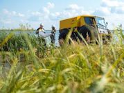 «Роснефть» рекультивирует 100% земель «исторического наследия» к 2035 году