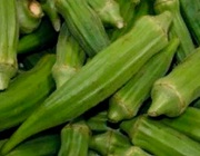 Ученые Пермского Политеха повысили добычу нефти с помощью полимера из сушеного овоща оокры