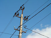 В Волгограде на воздушных ЛЭП появятся ещё 1400. птицезащитных устройств