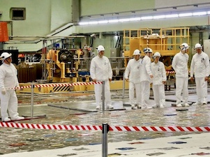 Росэнергоатом в 2023 году займет 30% мирового рынка кобальта-60